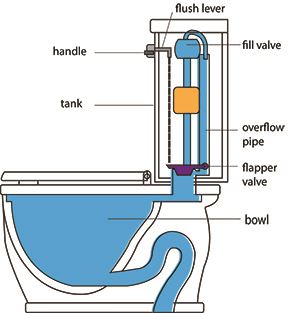 Toilet Diagram