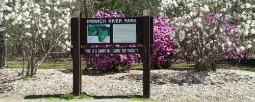 Ipswich River Park Entrance Spring